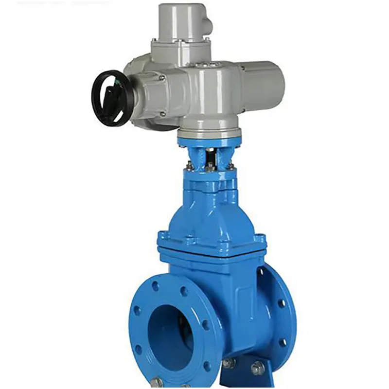 Electric gate valves